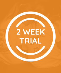 Free Trial
